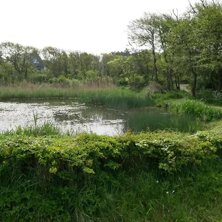 Apartment In Near The *