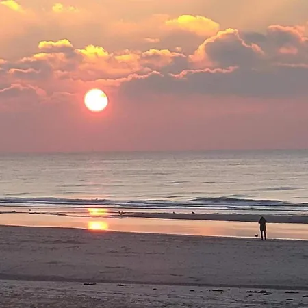 In Near The Lejlighed