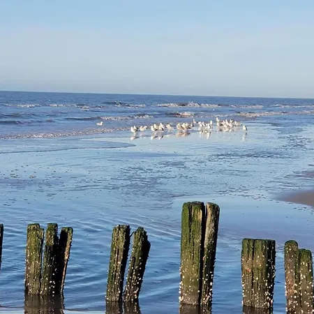 Lejlighed In Near The *