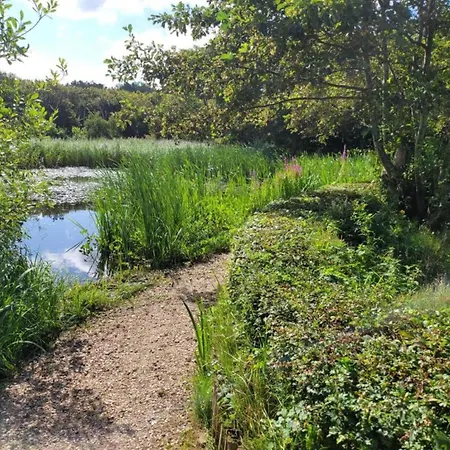 Lejlighed In Near The Bergen aan Zee